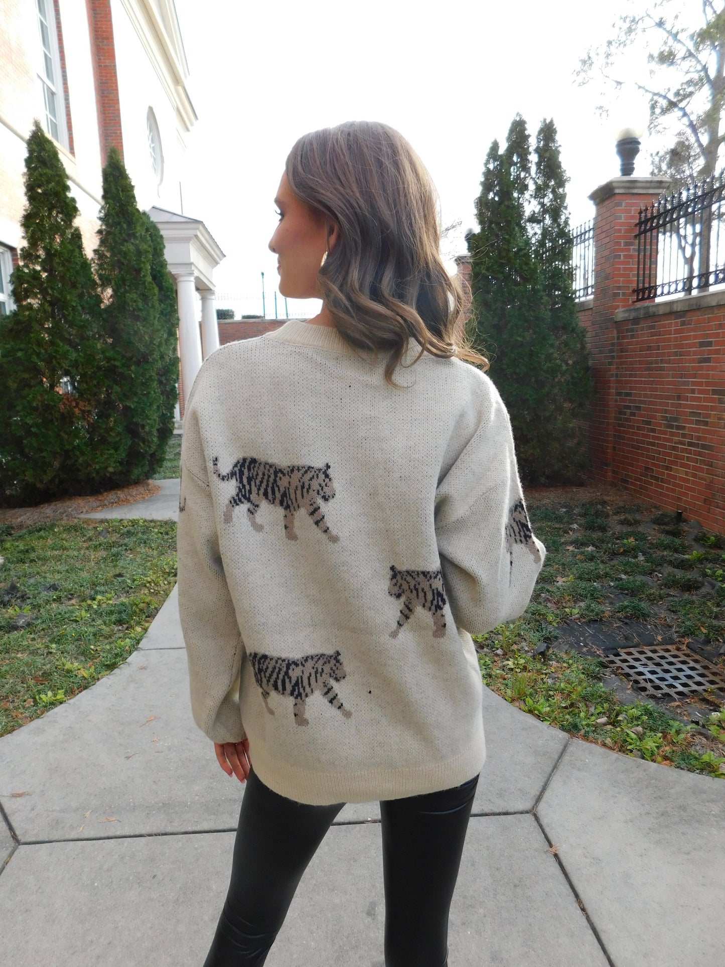 Tiger Pattern Sweater